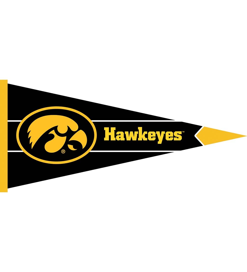 University of Iowa Pennant Flag