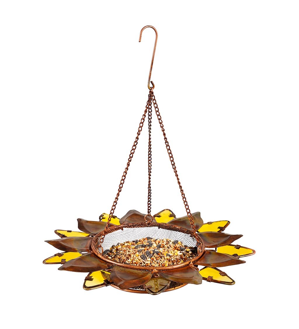 Metal and Glass Bird Feeder, Sunflower