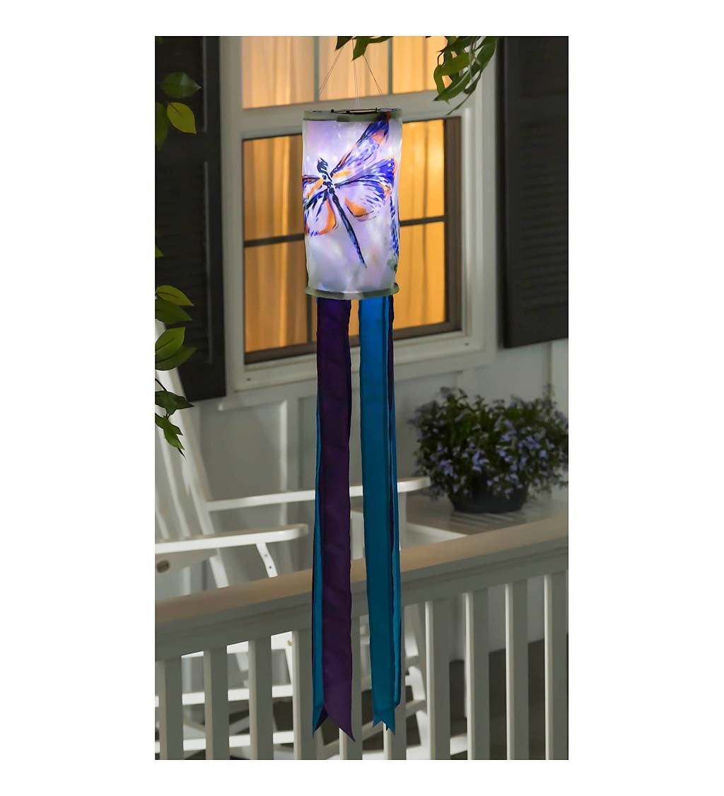 Painted Dragonflies Solar Motion Windsock
