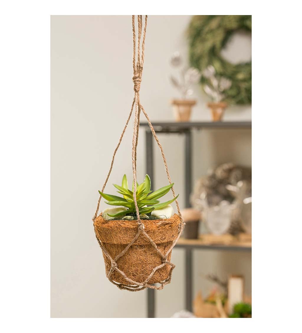 Succulent Arrangement in Coco Pot with Rope Hanger