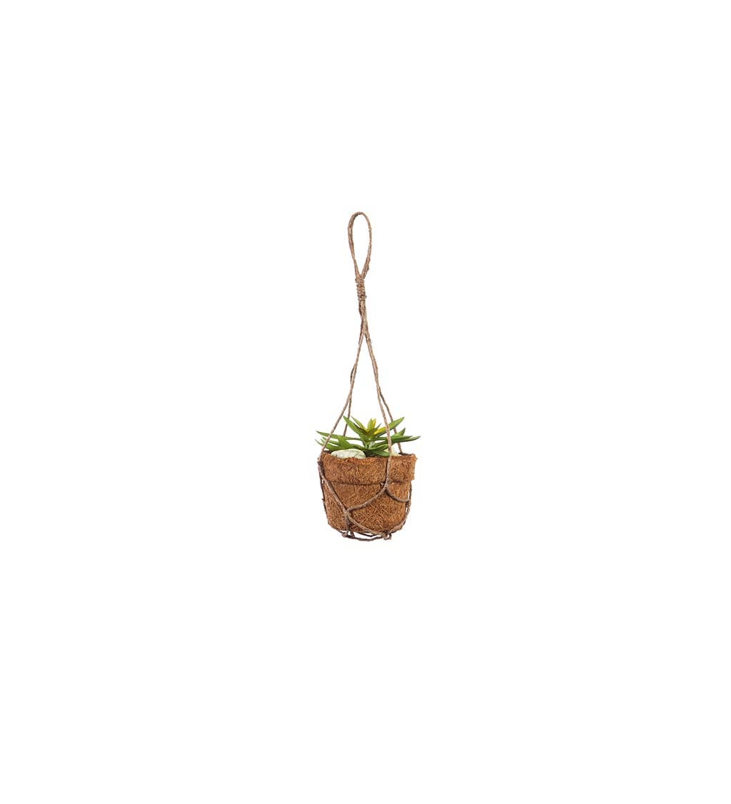 Succulent Arrangement in Coco Pot with Rope Hanger