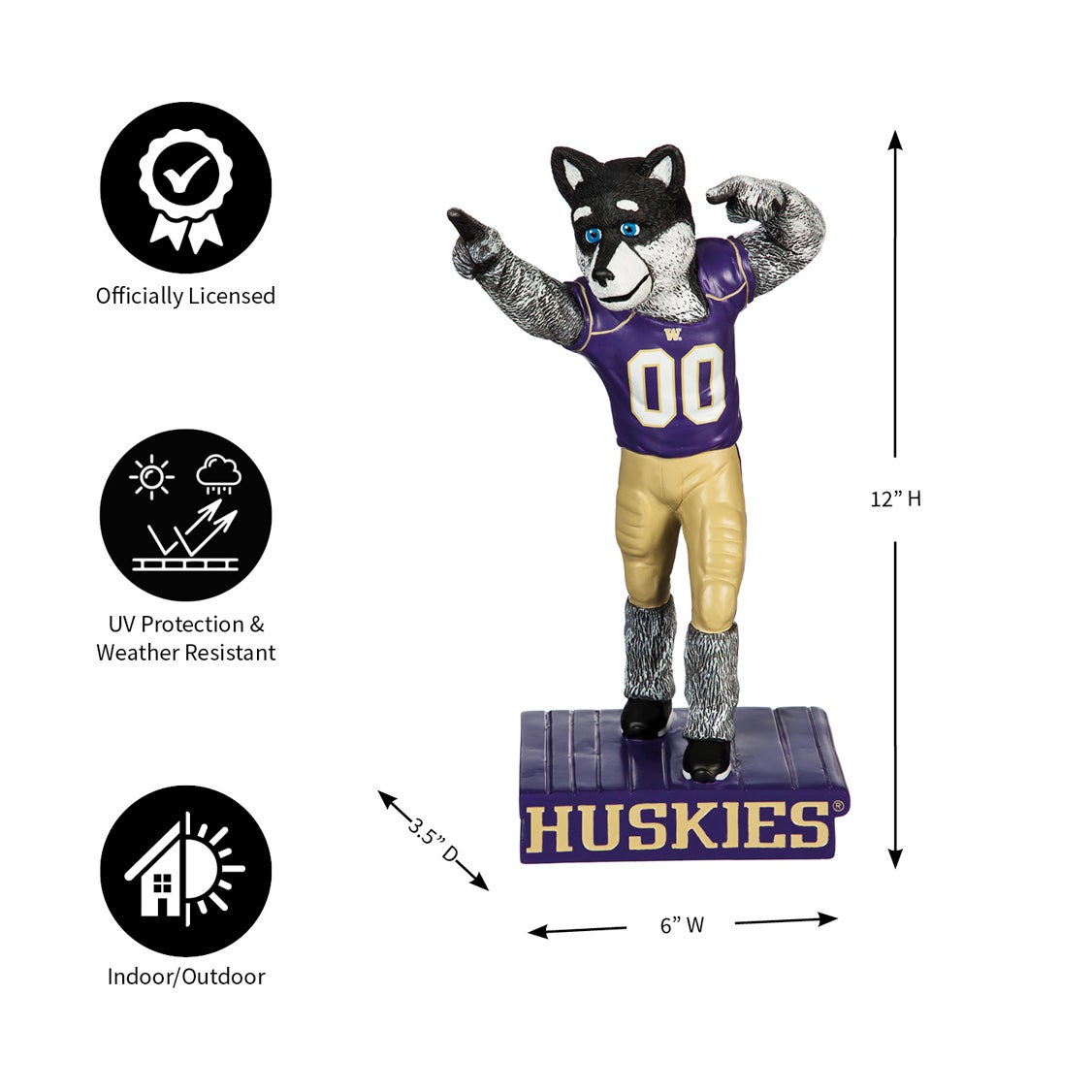 University of Washington Mascot Statue