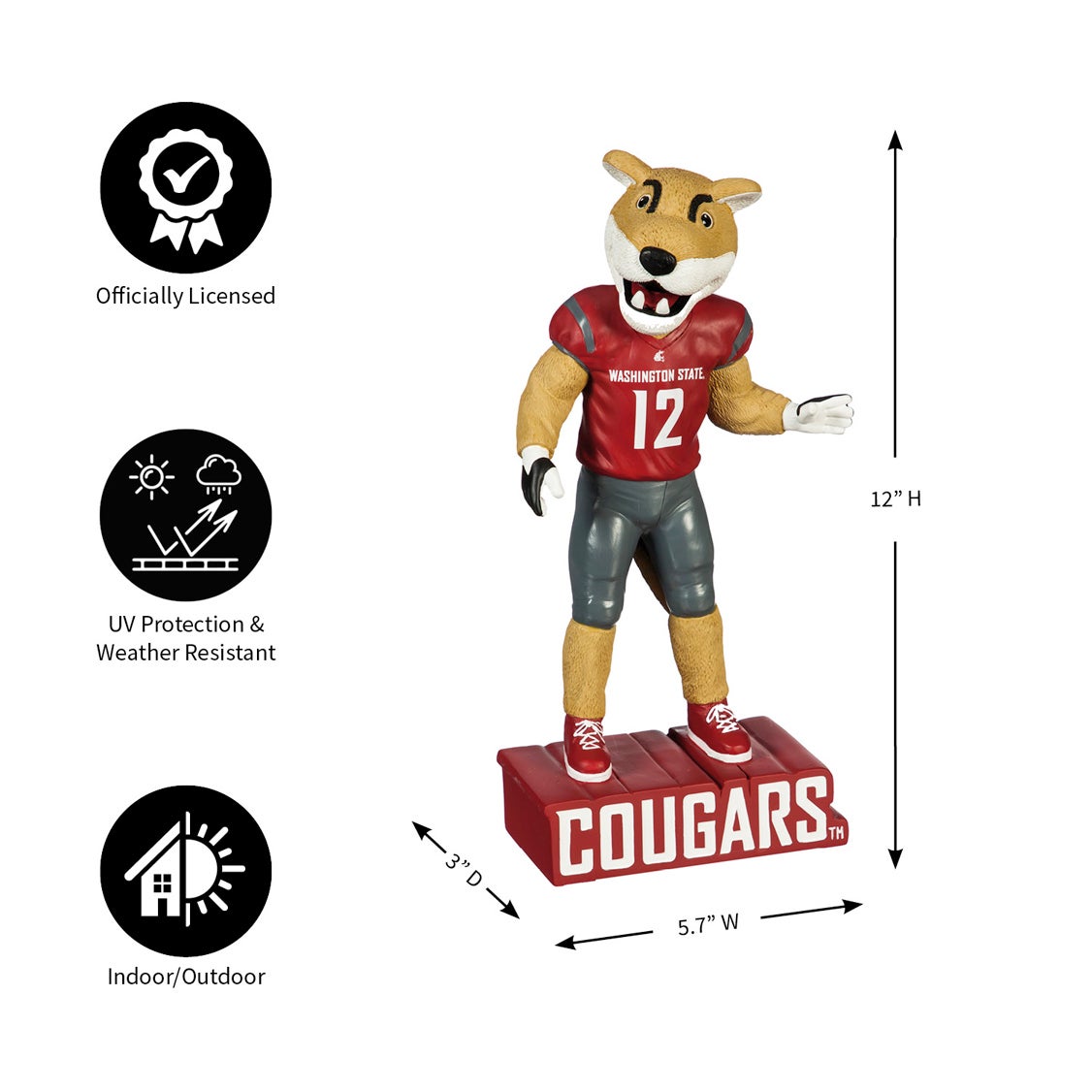 Washington State University Mascot Statue