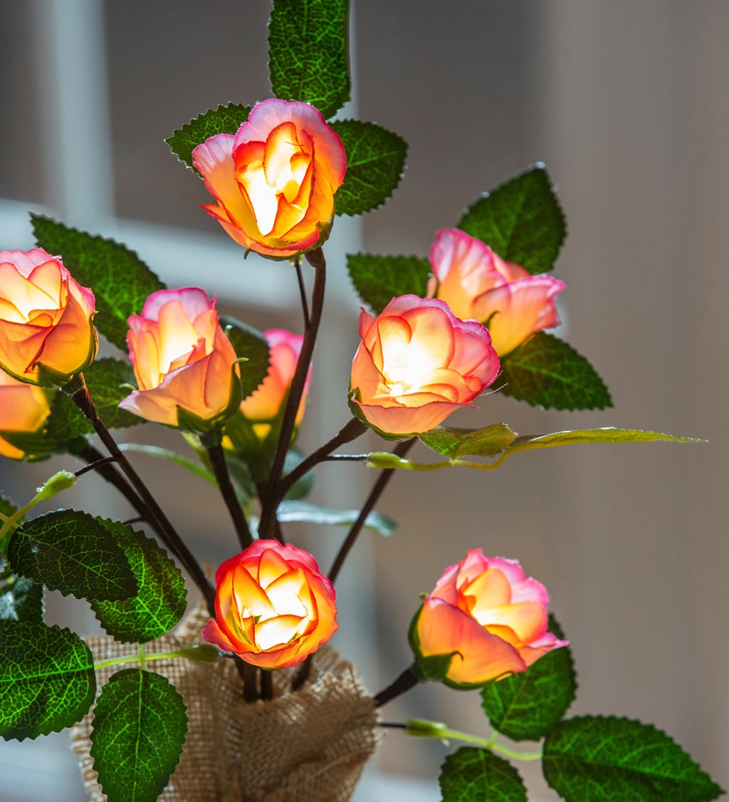 14" LED Roses in Burlap Pot Table Decor