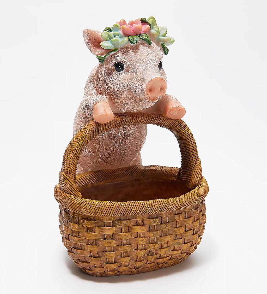 Succulent Planter Basket, Pig
