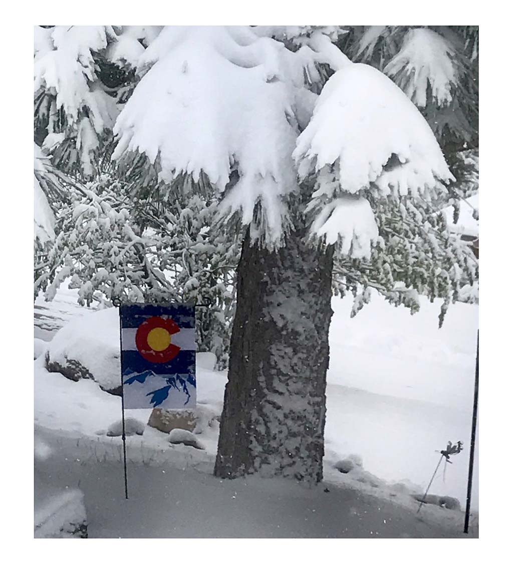 Colorado the State Appliqué Garden Flag